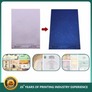 Security Banknote UV Fiber And Watermark Paper Security Banknote UV Fiber And Watermark Paper
